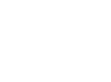 Falcon Environmental Solutions